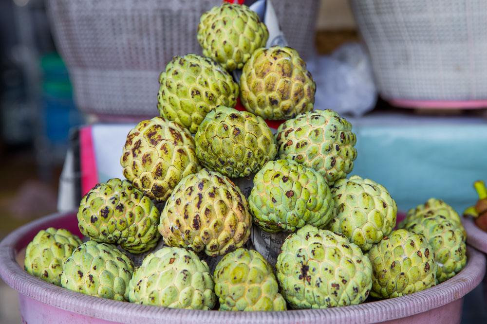 西双版纳原始森林各种好吃的水果,西双版纳必吃的水果有哪些
