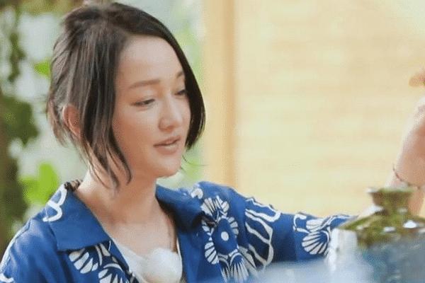 向往的生活女嘉宾合集,向往的生活女嘉宾唱的歌