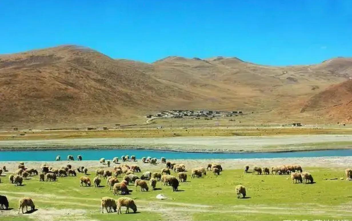 藏族的风俗习惯作文,藏族的风俗简介