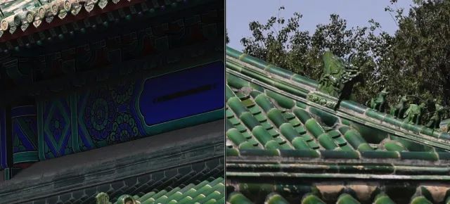 佳能rf100-500mm镜头拍鸟,佳能长焦相机100倍