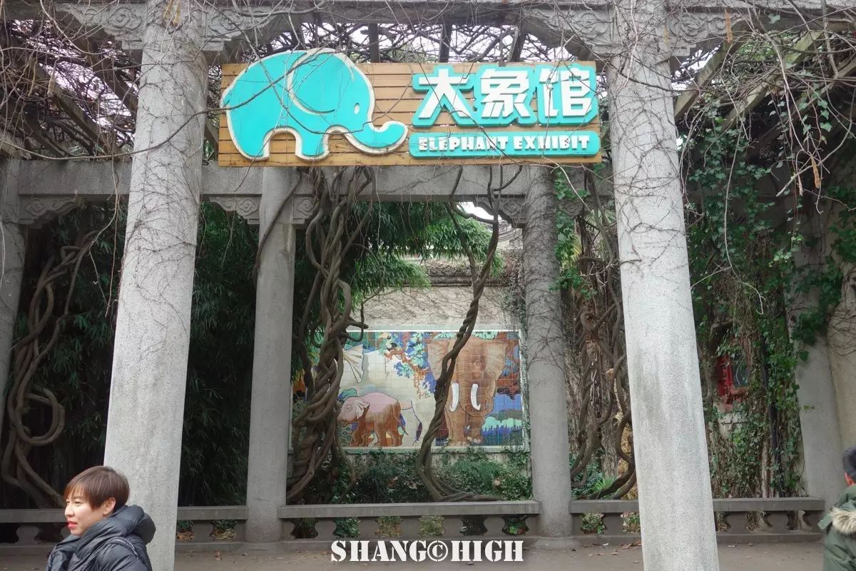 记者探访广州动物园,动物园观察动物