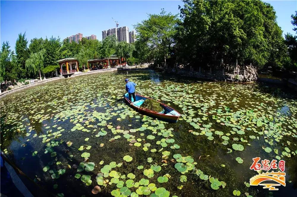 四十年前石家庄街景视频,石家庄40年