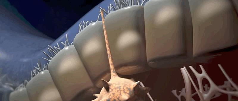 哮喘的发病原理,哮喘科普文章作品简介