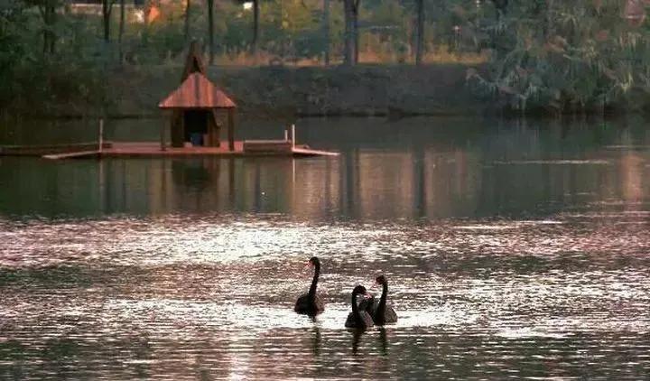 九大美院校园风景,中国九大美院校园风采