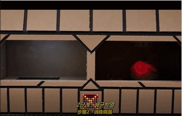 身价300万的仓鼠外网走红！住3层电梯豪宅，丰富娱乐，人不如鼠啊