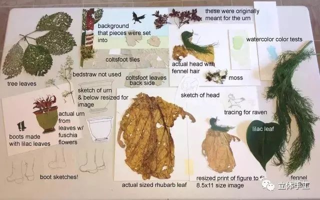 落叶拼贴画图片大全,落叶和花草拼贴画