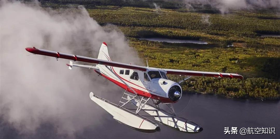 飞机制造商对动物的喜爱到底有多深?——德哈维兰加拿大