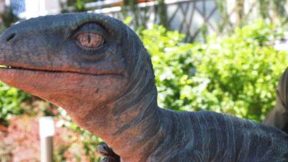 北京主题乐园环球影城,北京环球影城开业最新游玩攻略