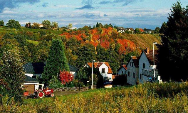什么星座的男人有处女情结,什么星座男人在乎处女情结