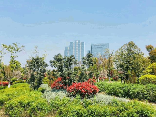 太惊喜！这家高品质项目不声不响卖到第一，独家内幕被曝光