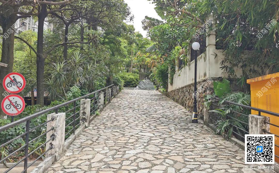 坐拥35公顷水域的横圳水库的虎门丰泰裕田，究竟好在哪里