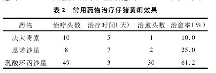 大肠杆菌败血症首选什么药物,猪大肠杆菌病防治方法