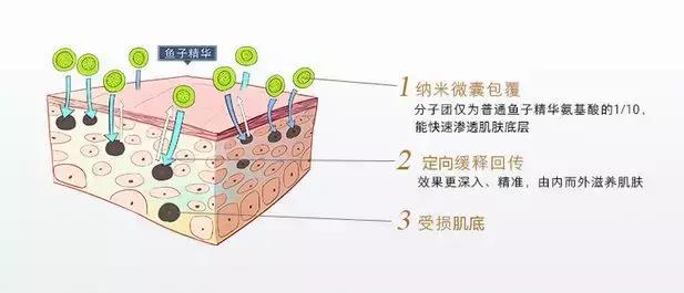 有了前法国第一夫人的百元“黑科技”眼霜，我把3000块眼霜扔了！