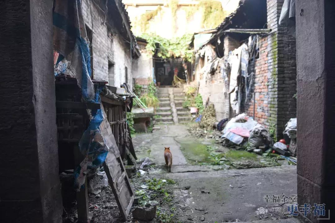 这条老街不仅市井味十足还很文艺,淮州新城古镇