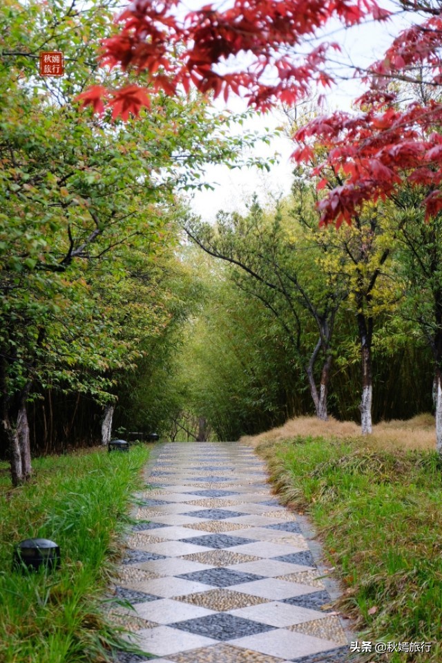 春雨菲菲游常熟滨江公园,浒浦江边品江鲜,23道菜共720元贵吗?