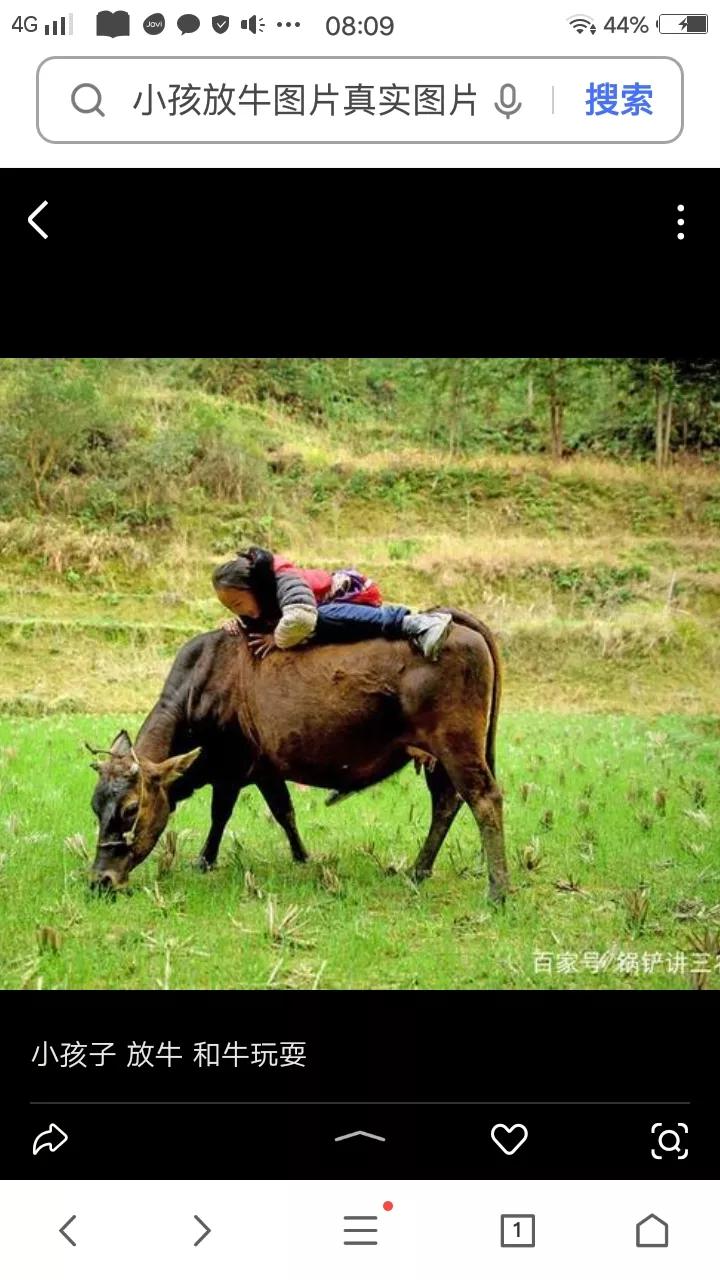 守岁梁子里赏析,守岁梁子里现代文阅读