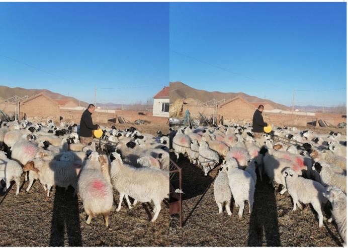 赤峰市巴林左旗白音勿拉镇：疫情防控不松劲，脱贫攻坚进行时