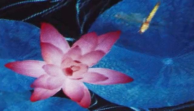 漳州小糯米亲子餐厅,漳州亲子餐厅游乐场