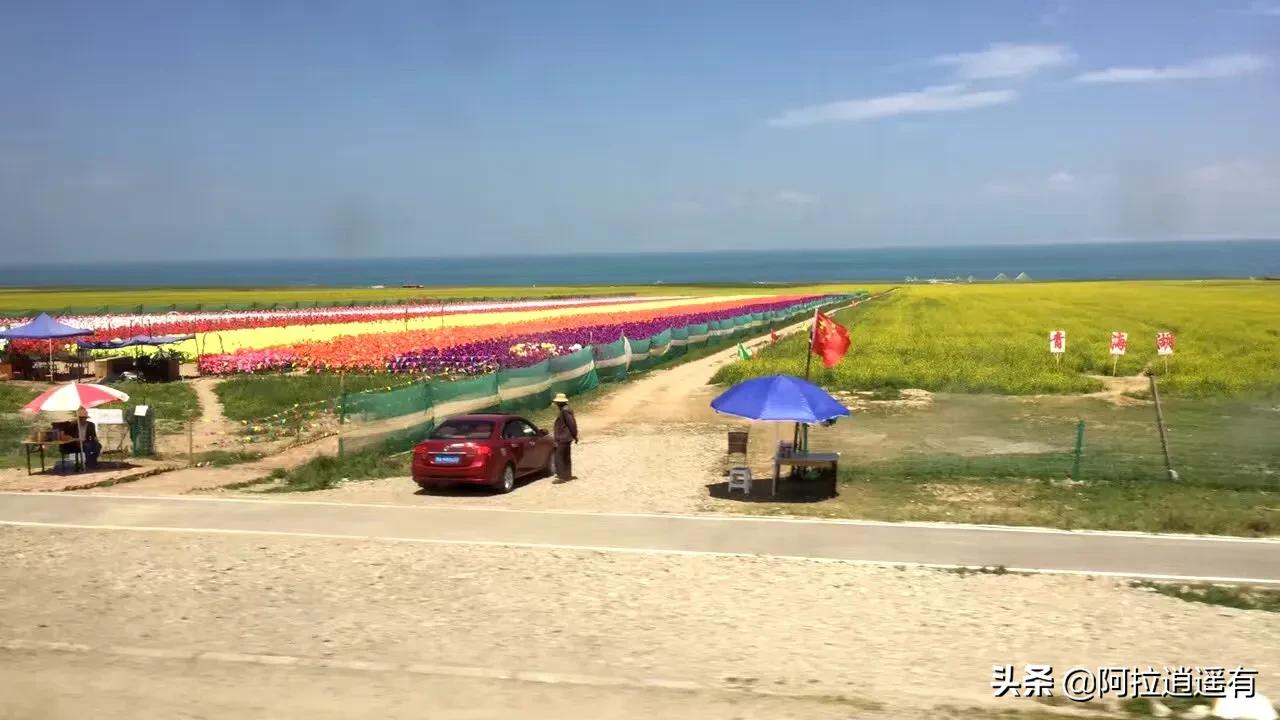 青海湖旅游小环线攻略路线推荐,暑假青海湖三日游旅游攻略