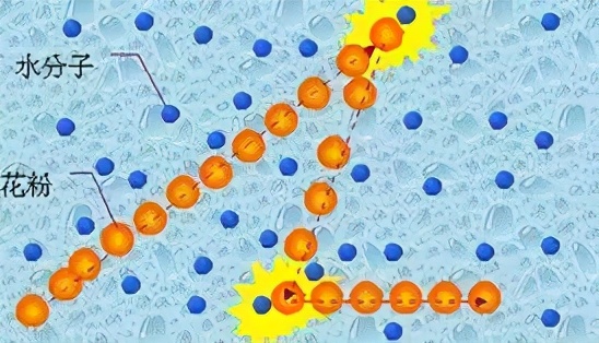 科学家对细胞膜成分的探索历程,细胞膜的相关科学史