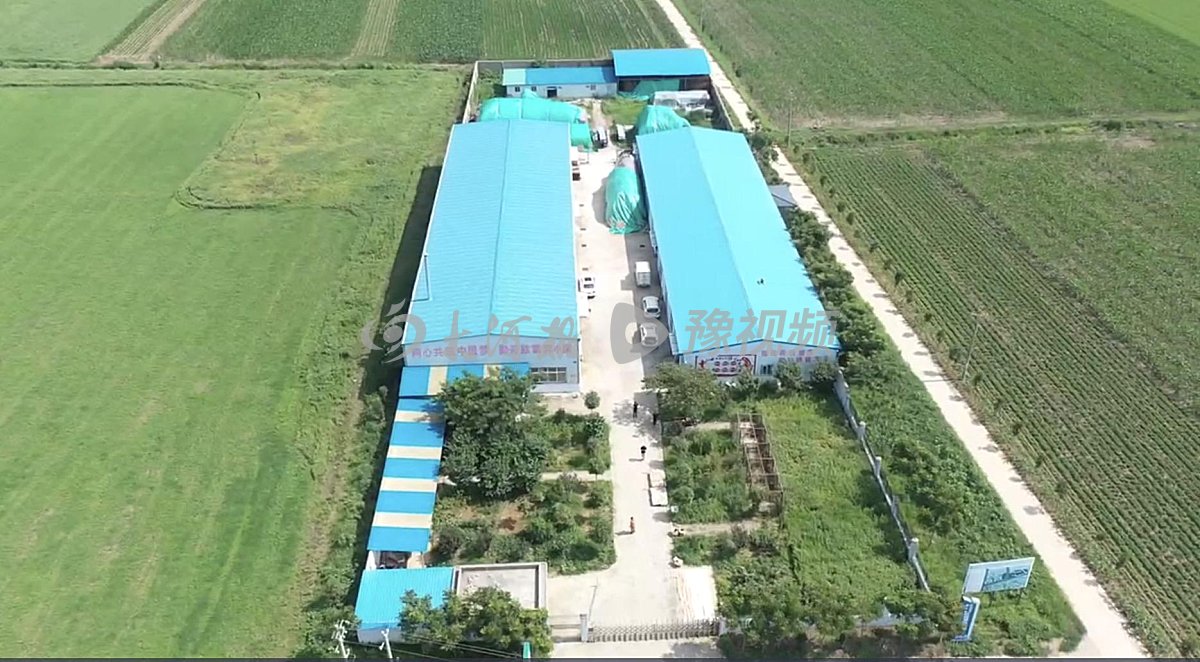 南阳艾草电商产业园,河南南阳艾草产业园