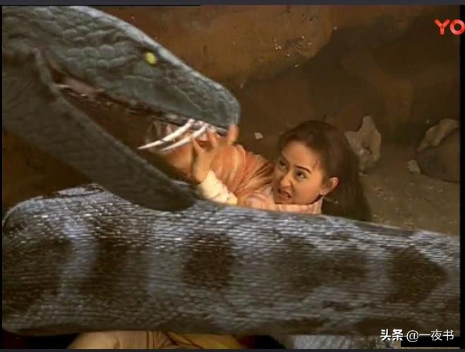 武侠剧中的六大巨蟒，尹仲的血蟒排第二