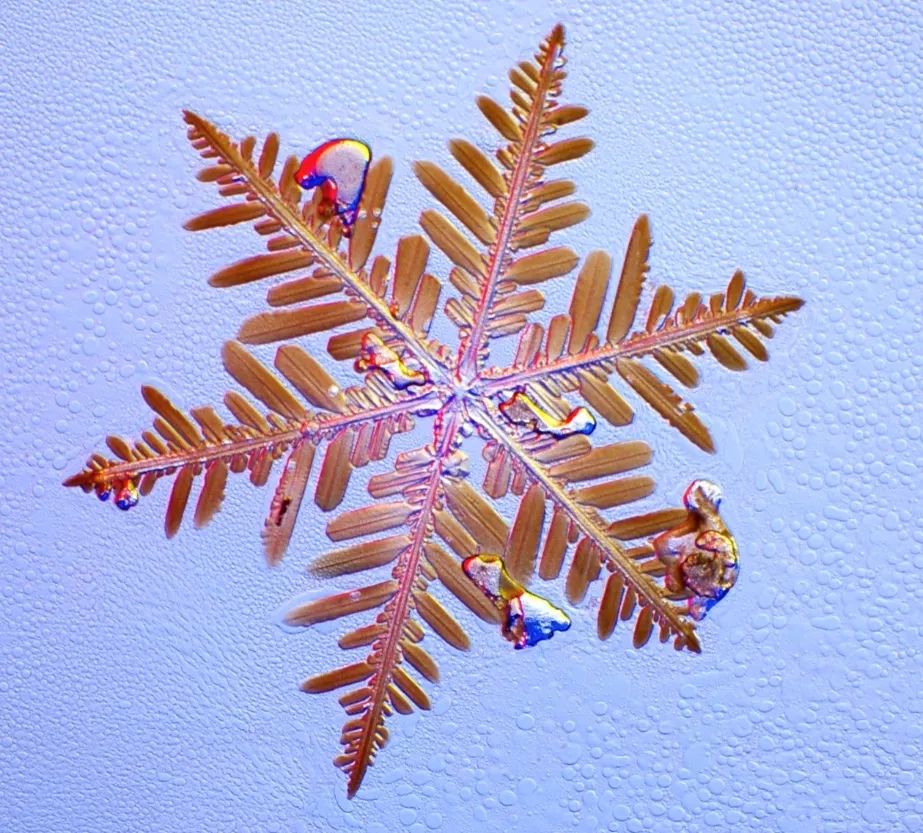 生活大爆炸真的完结了吗,生活大爆炸什么时候完结