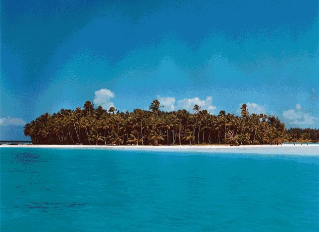 nars高潮腮红适合色,nars腮红收缩色推荐