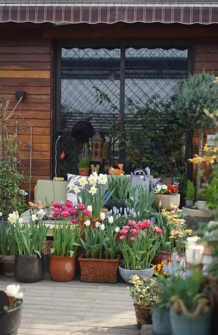 如果我有个院子我要种满花,如果我有个院子你猜我要种什么