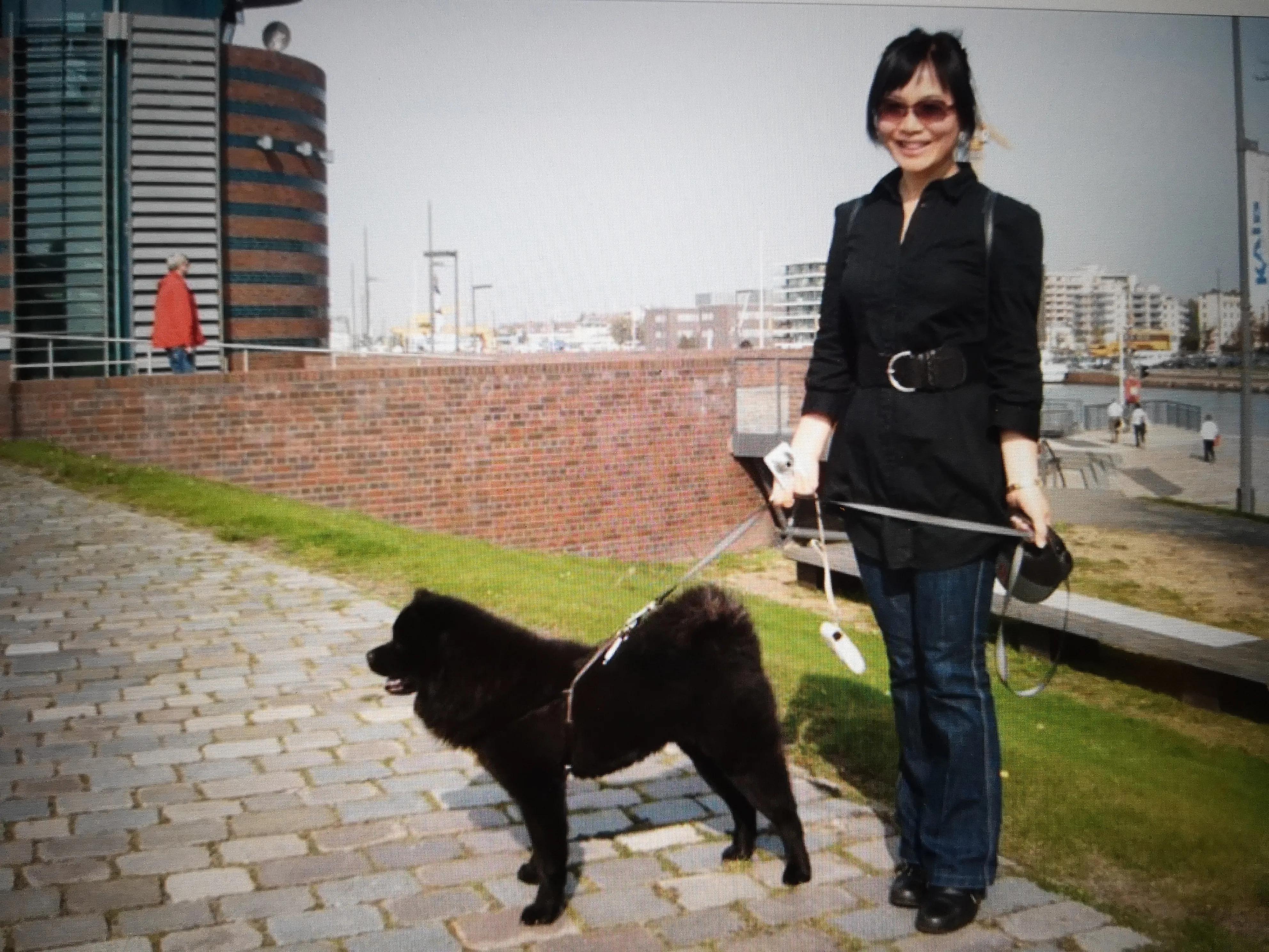 收容所动物安乐死,动物安乐死啥原理