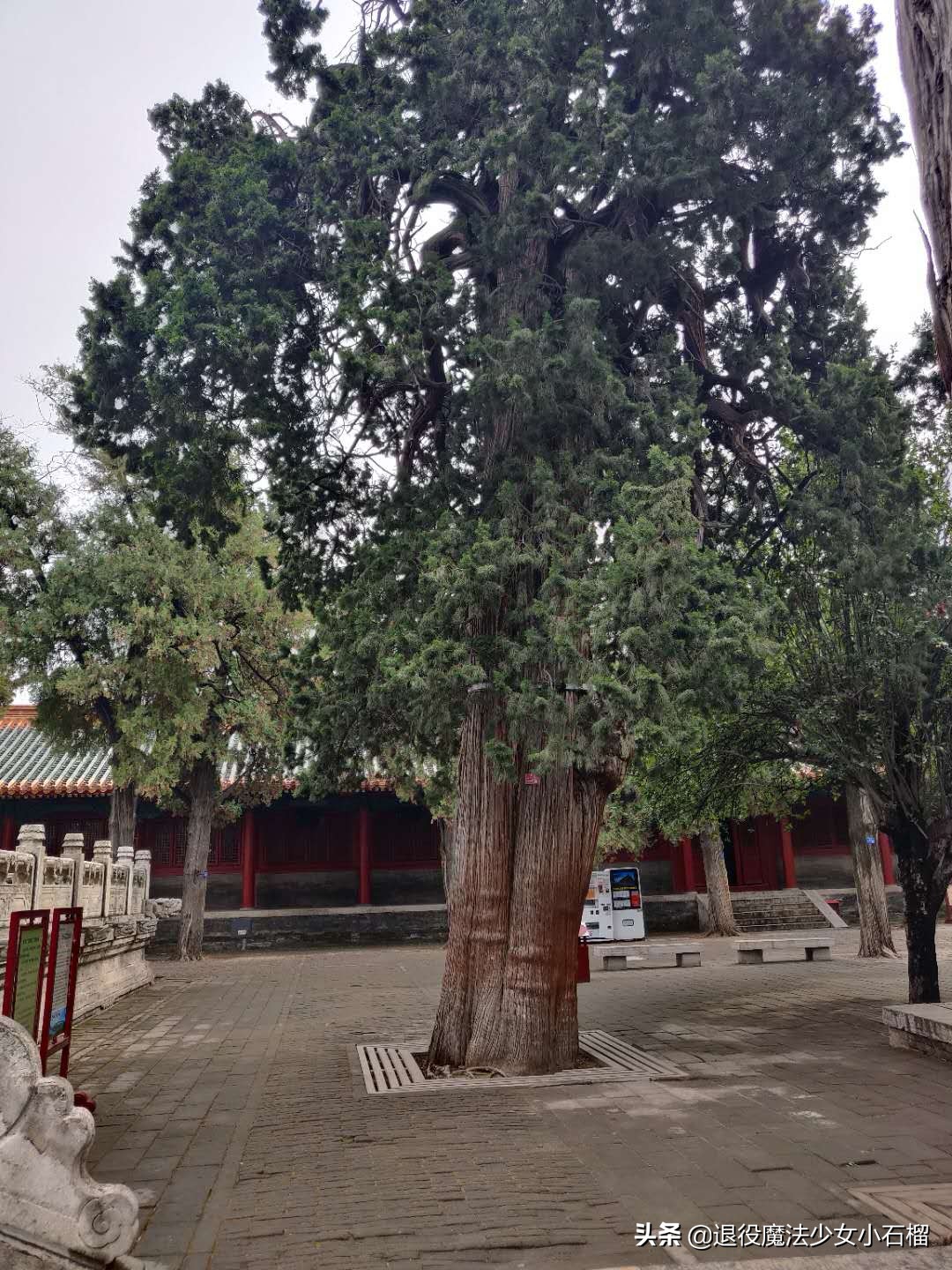 可移动的家Day12曲阜孔庙