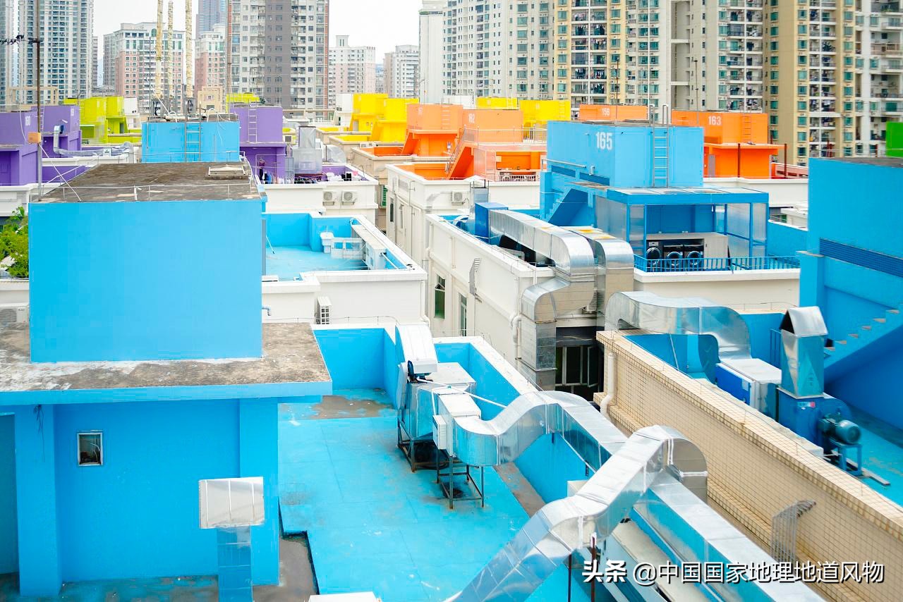 网友如何评价深圳这座城市,怎么夸赞深圳这个城市很美丽