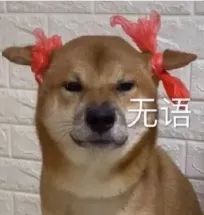 狗子掉毛红色,狗子掉毛皮肤发红是怎么回事