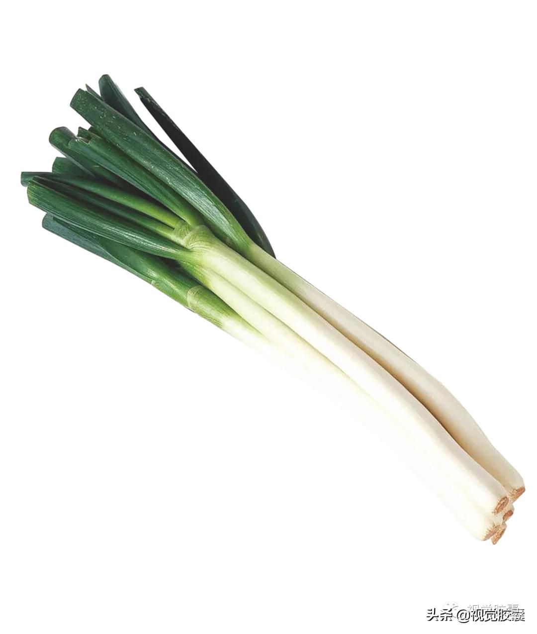 乡村蔬菜大棚的设计,蔬菜精美设计图片