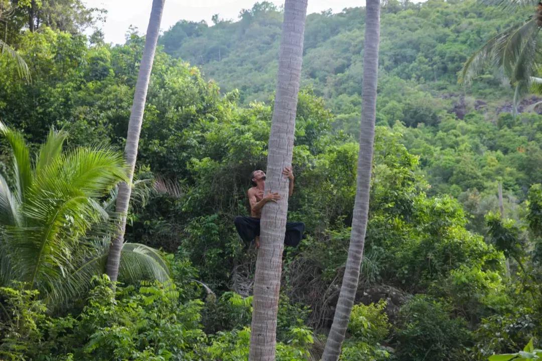 他卖掉豪宅搬进山洞,做出一个全世界风景最好的厕所