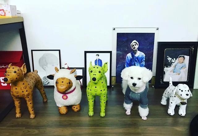 韩国exo吴世勋和朴灿烈,exo吴世勋鹿晗是亲兄弟吗