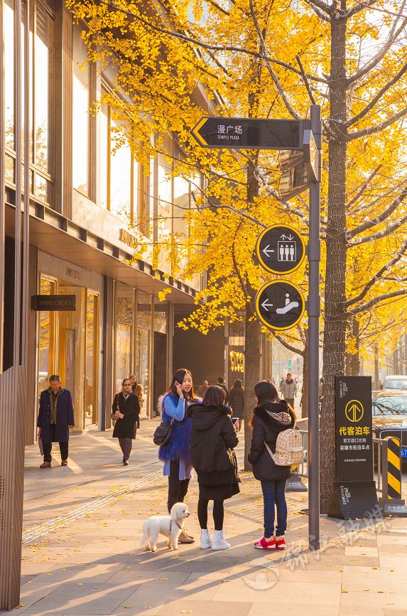 跟着成渝文旅地标来打卡,四川十大文旅新地标评选竞争火热