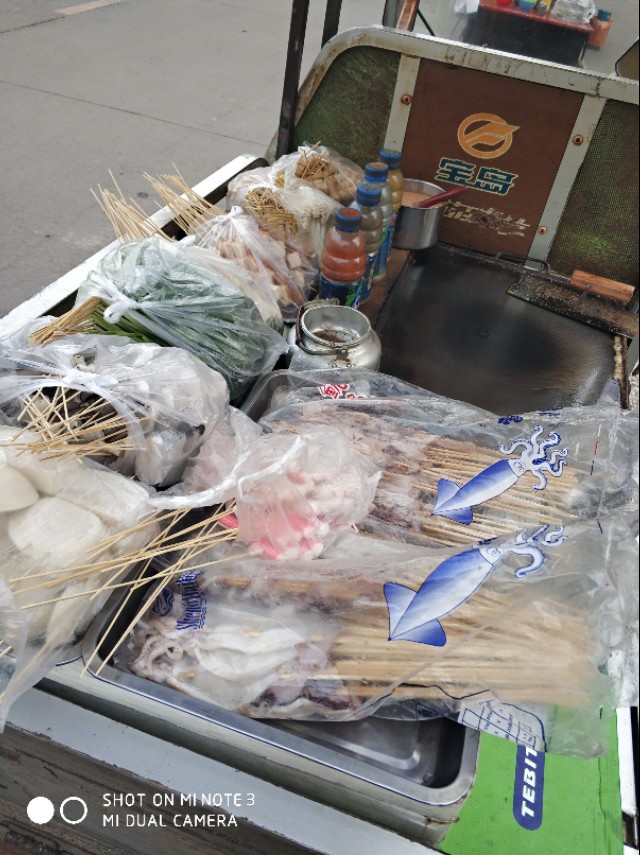 鱿鱼小哥视频大全集,鱿鱼小哥完整版