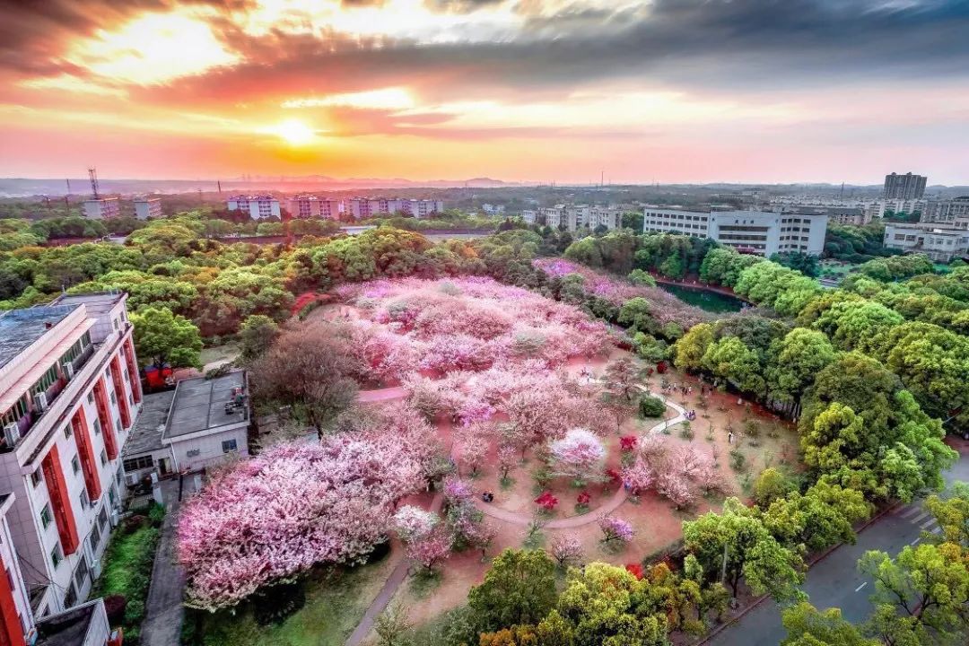 高校科技展会,湖南大学科技楼参观