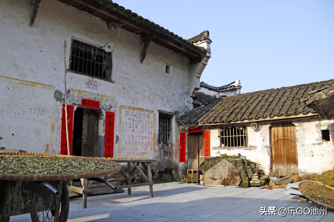 牯牛降直播间回放,石台县牯牛降直播间