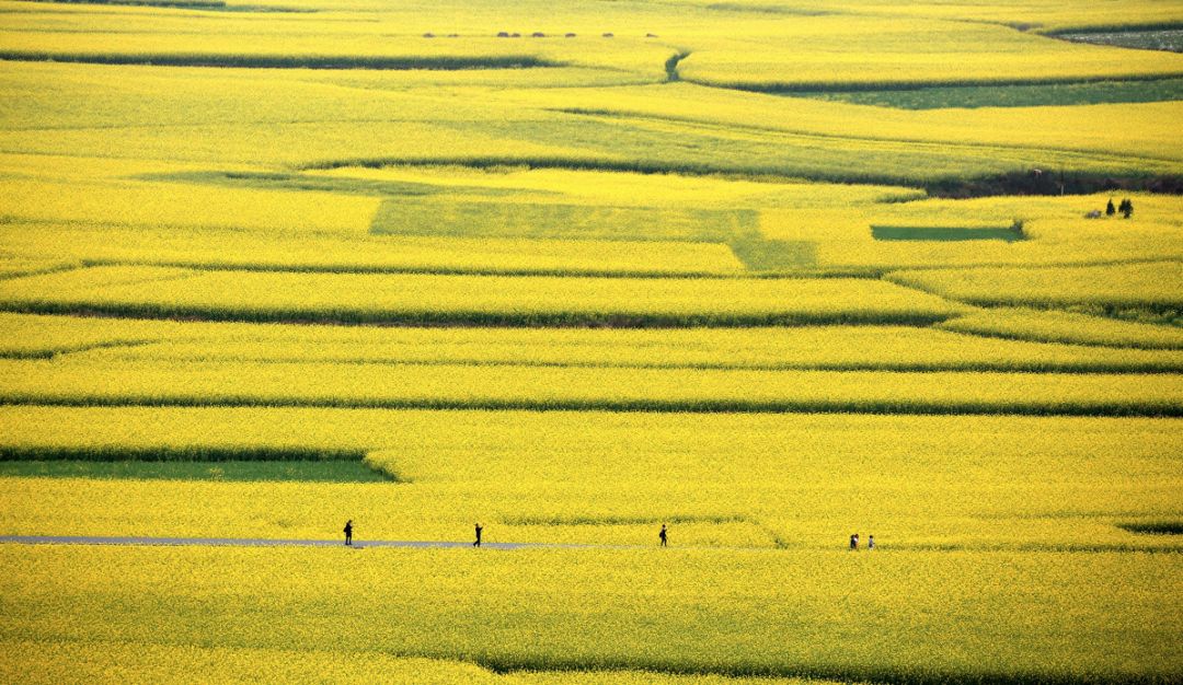 罗平乡村风景,罗平是个山清水秀好地方