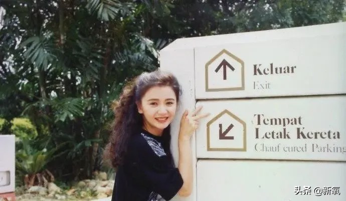 专门撞脸顶级女神，让名流天王念念不忘，这又是什么神仙？