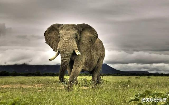 残忍!这9种带血文玩太血腥!碰了小心坐牢