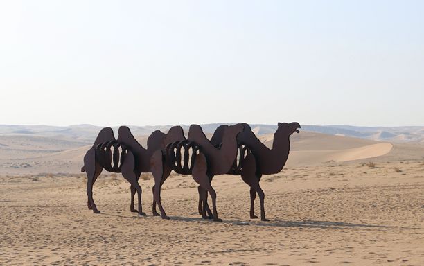 民勤骆驼客专卖店,民勤骆驼客演唱会