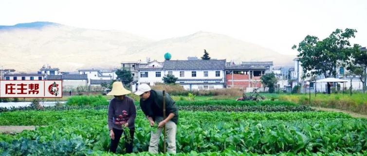 自驾游大理最佳旅游攻略,南宁自驾游丽江大理旅游攻略