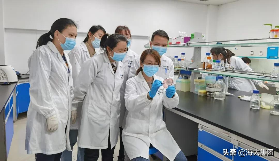 海大贾爱卿博士：坚守科技兴农初心翻开海大兽用生物制药新篇章