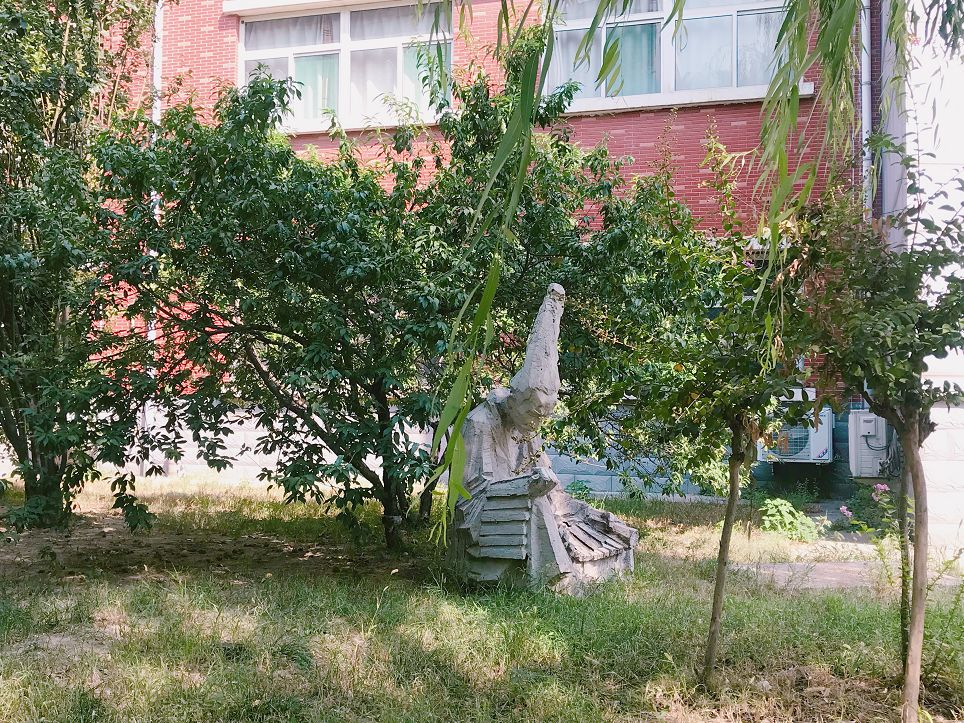 石家庄学院合集,石家庄学院校内