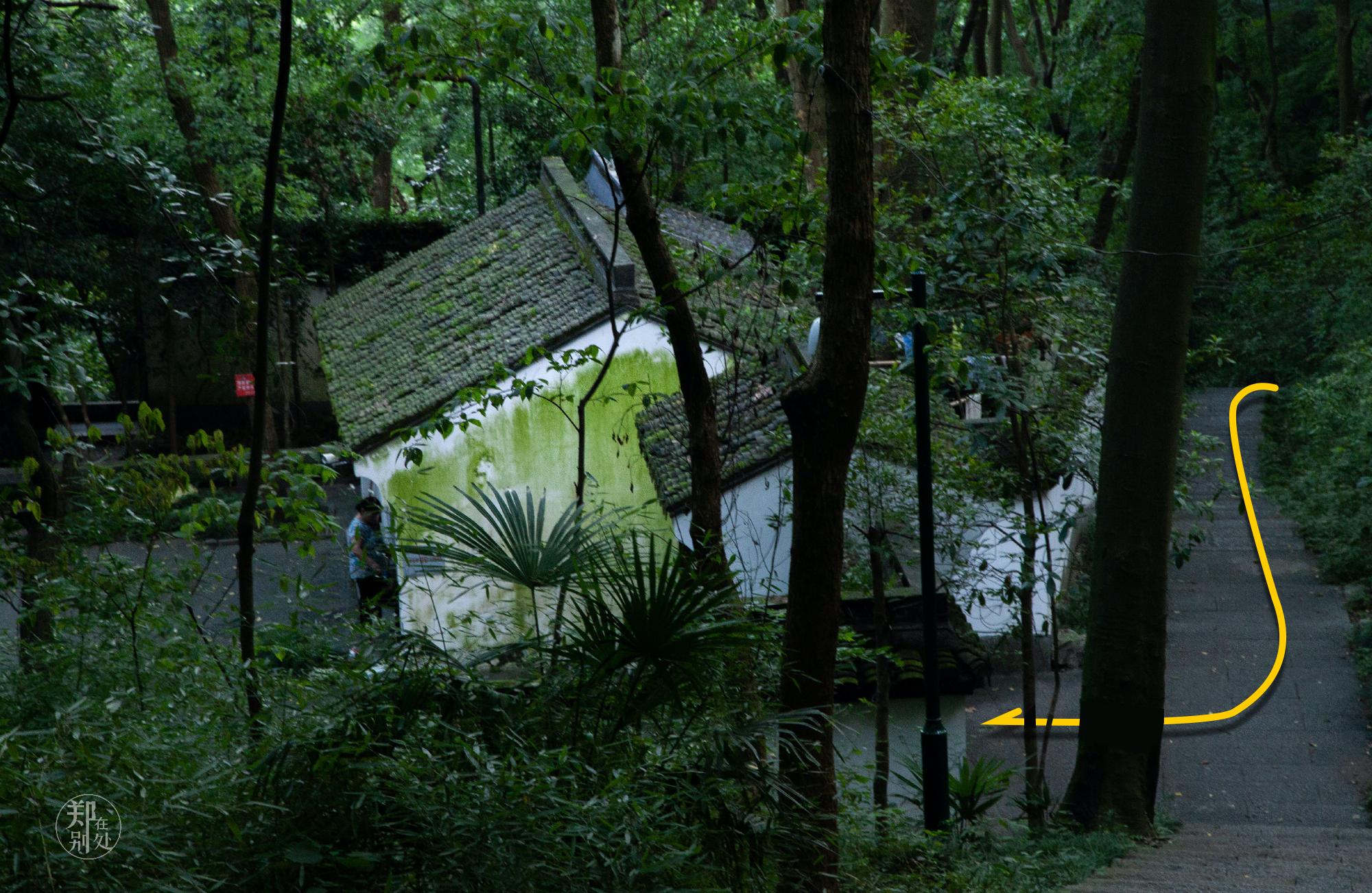 坐公交游杭州几路最好,杭州87路公交沿路风景