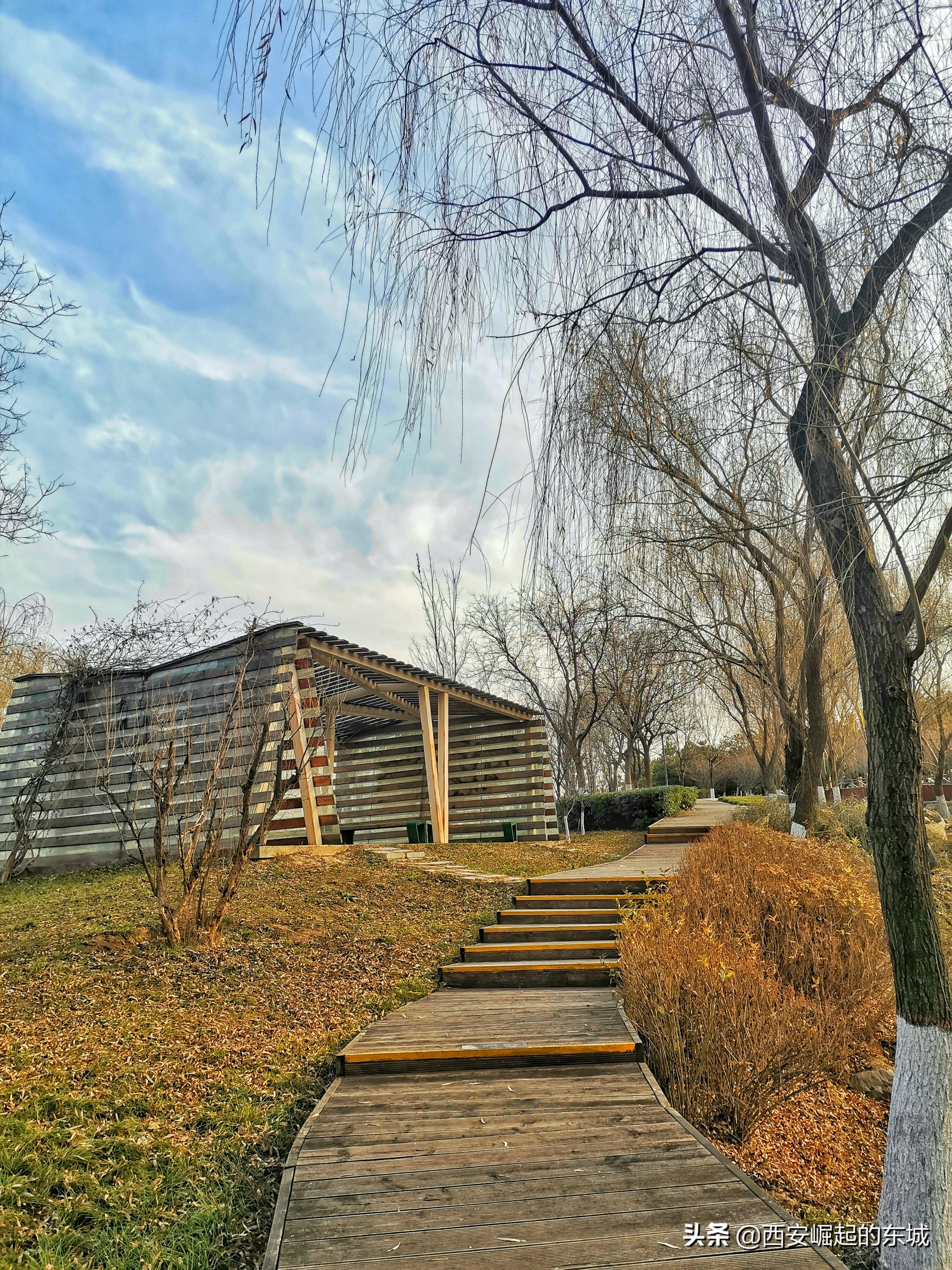 西安浐灞国家湿地公园最美航拍,西安市浐灞国家湿地公园