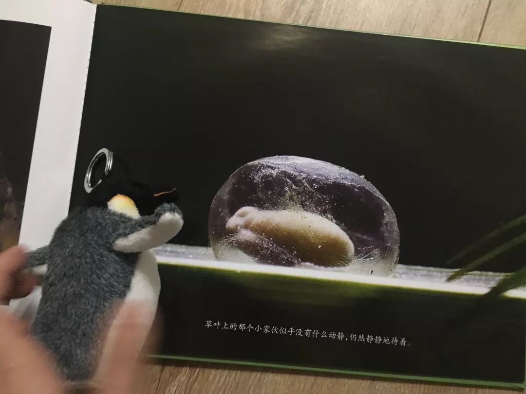 这8套大师级的中国原创绘本，用动画般的画面让孩子目不转睛